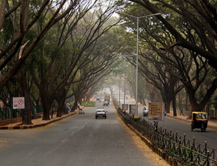 Bangalore-Weather