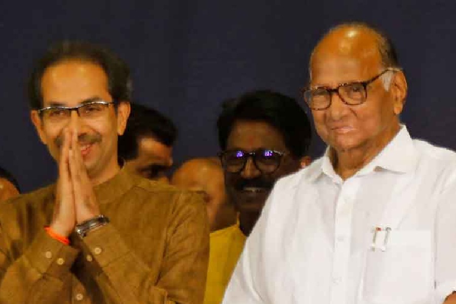 Pawar-and-Uddhav